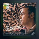 آهنگ دلشوره از ماهور