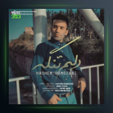 آهنگ دلم تنگه از هاشم رمضانی