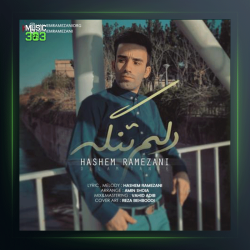 آهنگ دلم تنگه از هاشم رمضانی