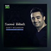 آهنگ دورت بگردم از سعید بیباک