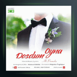 آهنگ دوستوم از علی پرمهر