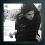 آهنگ زخم برده از سینا نرگال