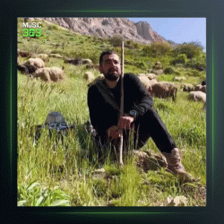 آهنگ سر کوی سیاهم جان دلبر از مهدی کارگر