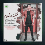 آهنگ عشقینه دوشدوم از سعید دسترنج