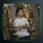 آهنگ مثل تو نیست از هاشم رمضانی