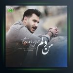 آهنگ من دلم تنگه از مجید ارم