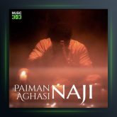 آهنگ ناجی از پیمان آغاسی