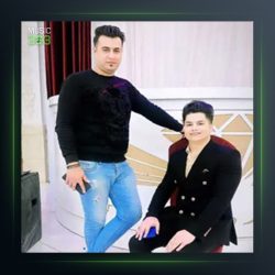 آهنگ نمیشه از علی برزنونی