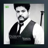 آهنگ نکن شکایت از پیمان آغاسی