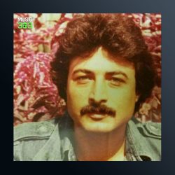 آهنگ وداع از مهرداد کاظمی