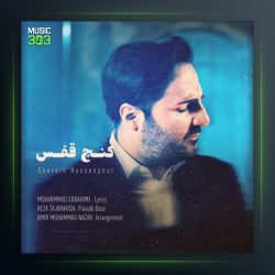 آهنگ کنج قفس از شروین