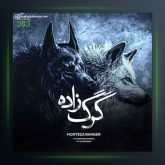 آهنگ گرگ زاده از مرتضی رنجر