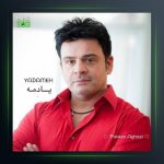 آهنگ یادمه از پیمان آغاسی