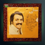 آهنگ بیا جان تو باشم از سلی