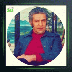 آهنگ ترک 8 از عباس مهرپویا