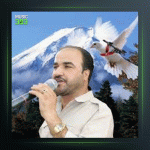 آهنگ تو وه ن نابی له چاوان از اسماعیل سردشتی