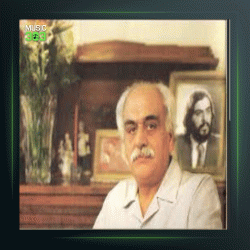 آهنگ حرفی بزن از سلی