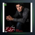 آلبوم اشتراک تلخ از حمزه محمدی