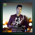 دانلود آهنگ آروم جونم از هوراد