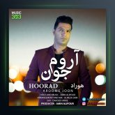 دانلود آهنگ آروم جونم از هوراد