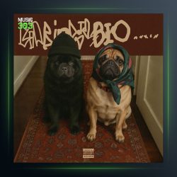 آهنگ بیو بیو از مرساد