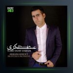 آهنگ تو رو دوست دارم از مهدی عسگری