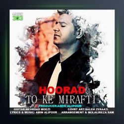 دانلود آهنگ تو که میرفتی از هوراد