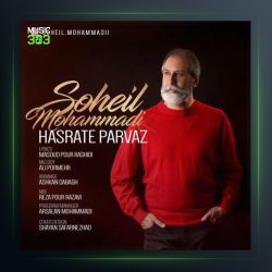 آهنگ حسرت پرواز از سهیل محمدی