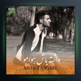 آهنگ داشته باش هوامو از مهدی عسگری