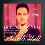 آهنگ دل دیوونه از سهراب عبدی