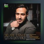 دانلود آهنگ دلم تنگه از ایمان نویدی نیا