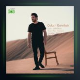 آهنگ دلم گرفته از وحید عزیزی