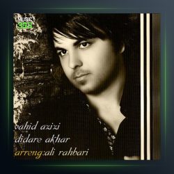 آهنگ دیدار آخر از وحید عزیزی