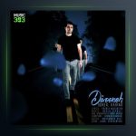 آهنگ دیوونه از سهیل کریمی