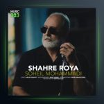 آهنگ شهر رویا از سهیل محمدی