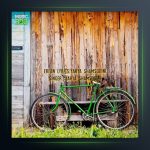 آهنگ عرفان از یحیی شمس الدینی