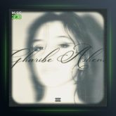 آهنگ غریبه آشنا از عهود