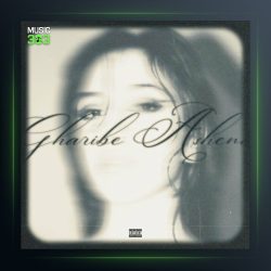 آهنگ غریبه آشنا از عهود