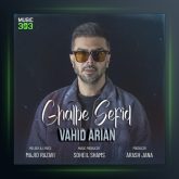 آهنگ قلب سفید از وحید آرین