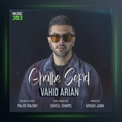 آهنگ قلب سفید از وحید آرین