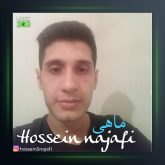 دانلود آهنگ ماهی از حسین نجفی