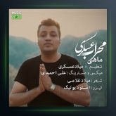 آهنگ ماهی از مهراب عسکری