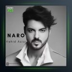 آهنگ نرو از وحید عزیزی