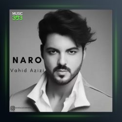 آهنگ نرو از وحید عزیزی