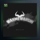 آهنگ وحم وحشی از Rail 47