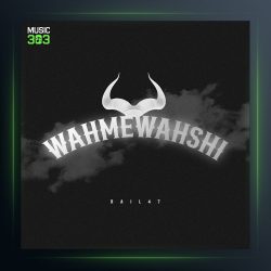 آهنگ وحم وحشی از Rail 47