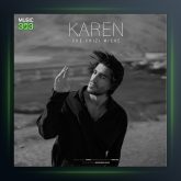 دانلود آهنگ چه چیزی میشه از کارن