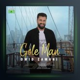 آهنگ گل من از امید زمانی