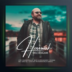 دانلود آهنگ دلتنگی از هوواک