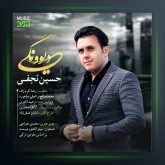 دانلودآهنگ دیوونگی از حسین نجفی